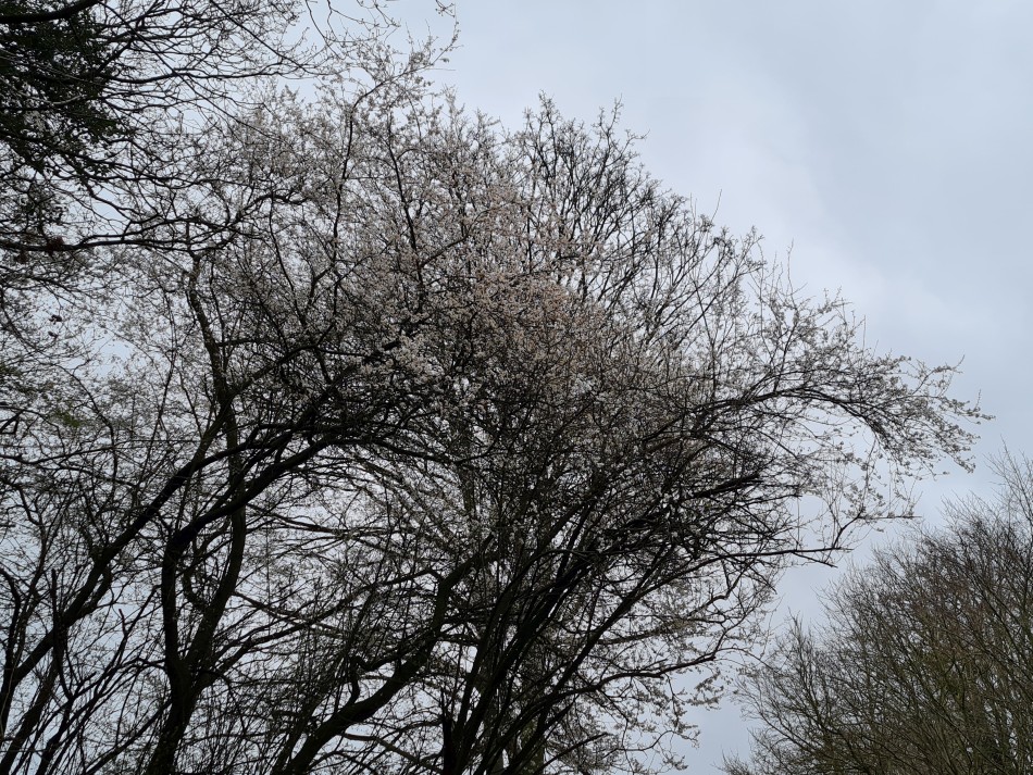 2015-06-05 20 Rushford.jpg