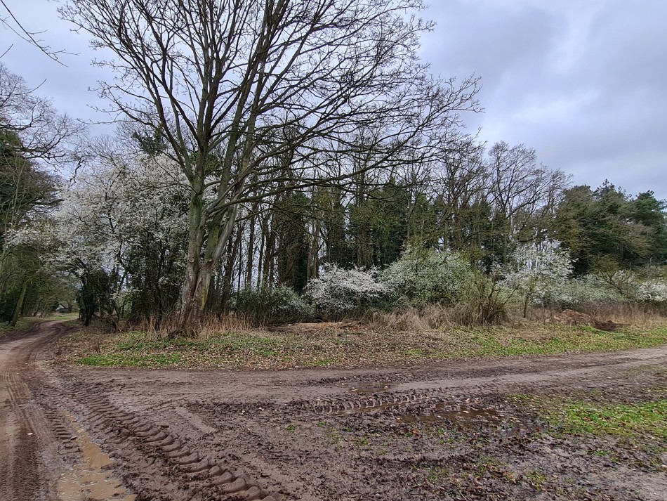 2015-06-05 21 Rushford.jpg