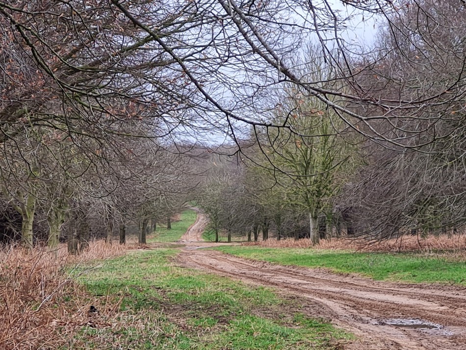 2015-06-05 23 Rushford.jpg