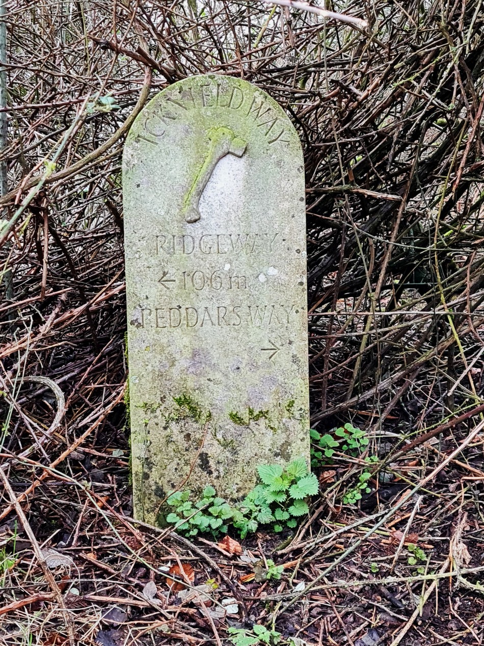 2015-06-05 26 Rushford.jpg