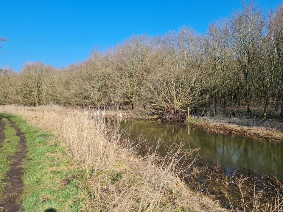 2015-06-06 03 Knettishall.jpg