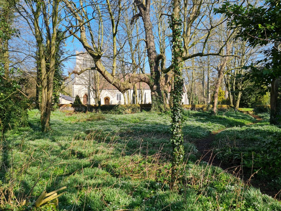 2015-06-06 09 Knettishall.jpg