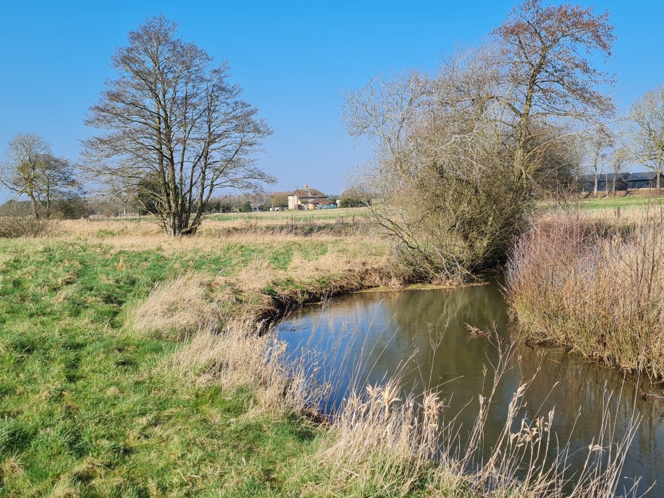 2015-06-06 11 Knettishall.jpg