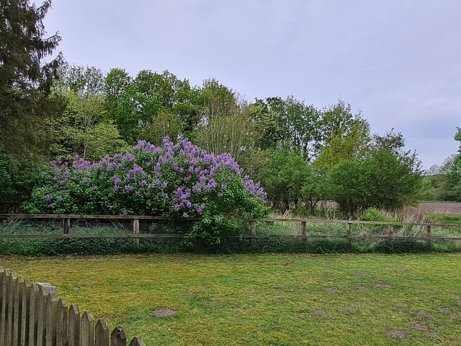 2022-05-01 05 Angles Way 5 - Rushford.jpg