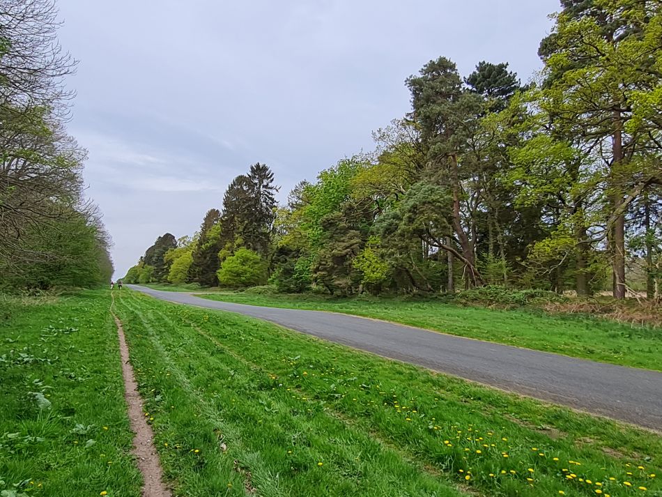 2022-05-01 06 Angles Way 5 - Rushford.jpg