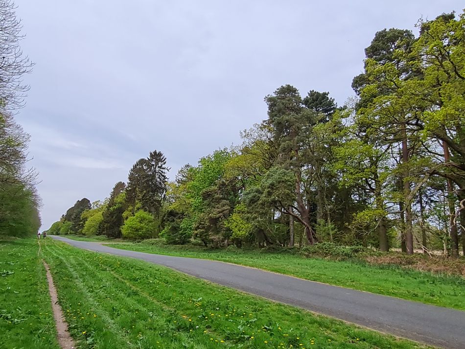 2022-05-01 07 Angles Way 5 - Rushford.jpg