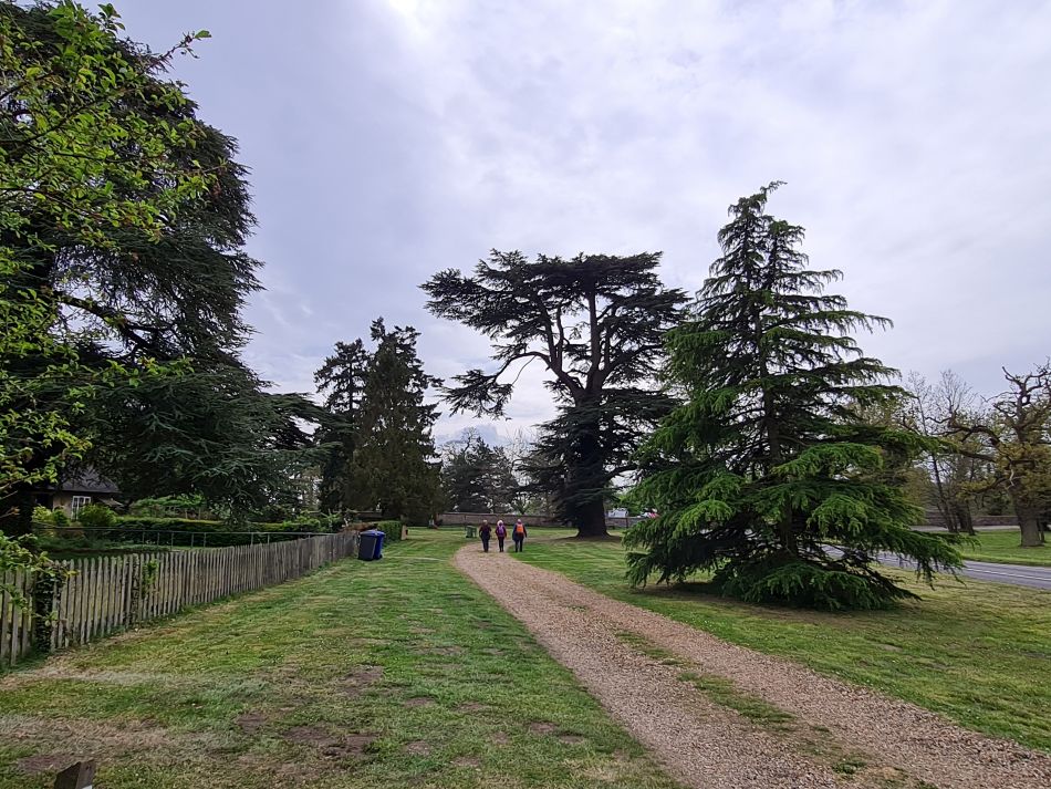 2022-05-01 11 Angles Way 5 - Rushford.jpg