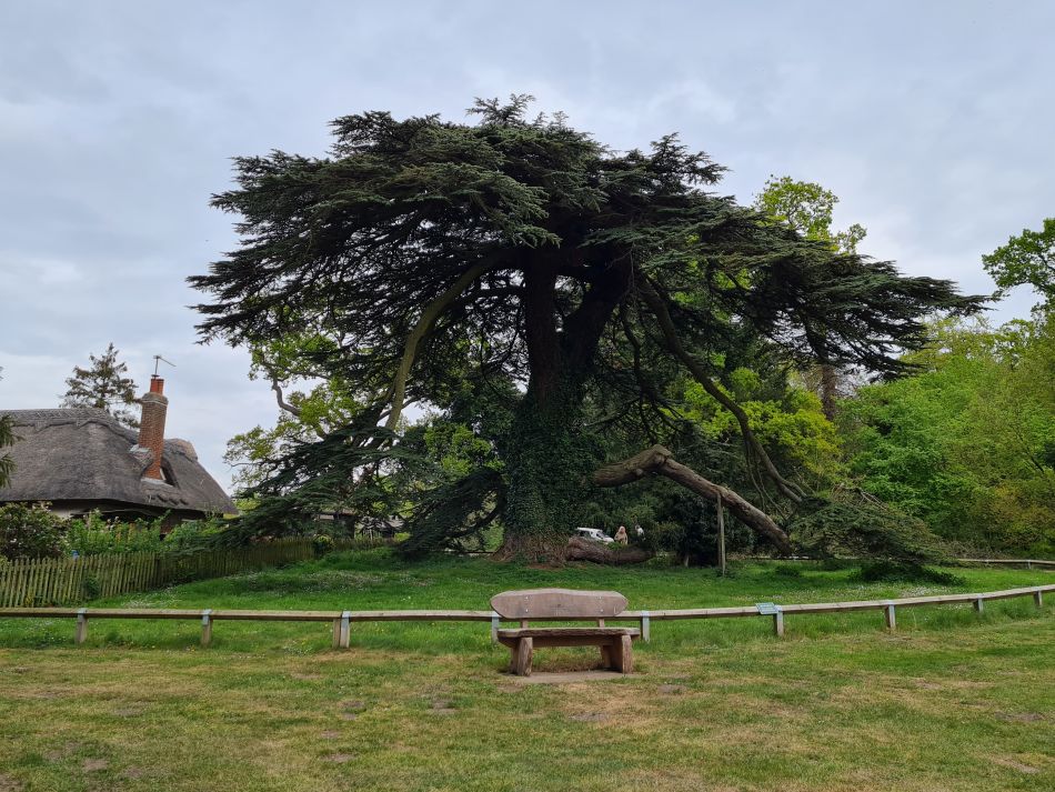 2022-05-01 13 Angles Way 5 - Rushford.jpg