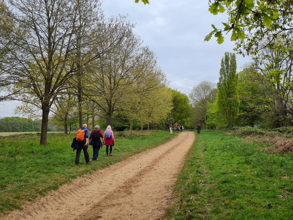 2022-05-01 17 Angles Way 5 - Rushford.jpg