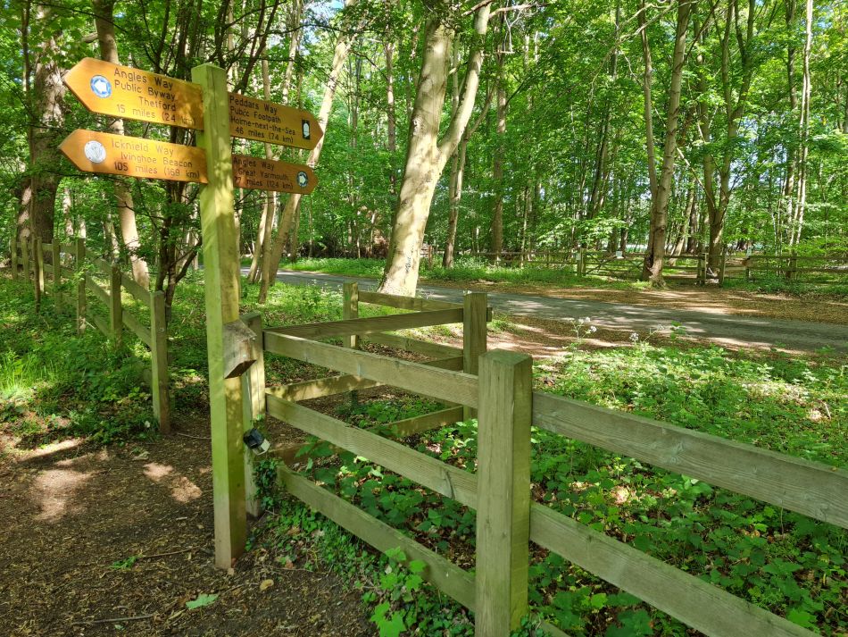 2022-05-12 01 Angles Way 6 - Knettishall.jpg