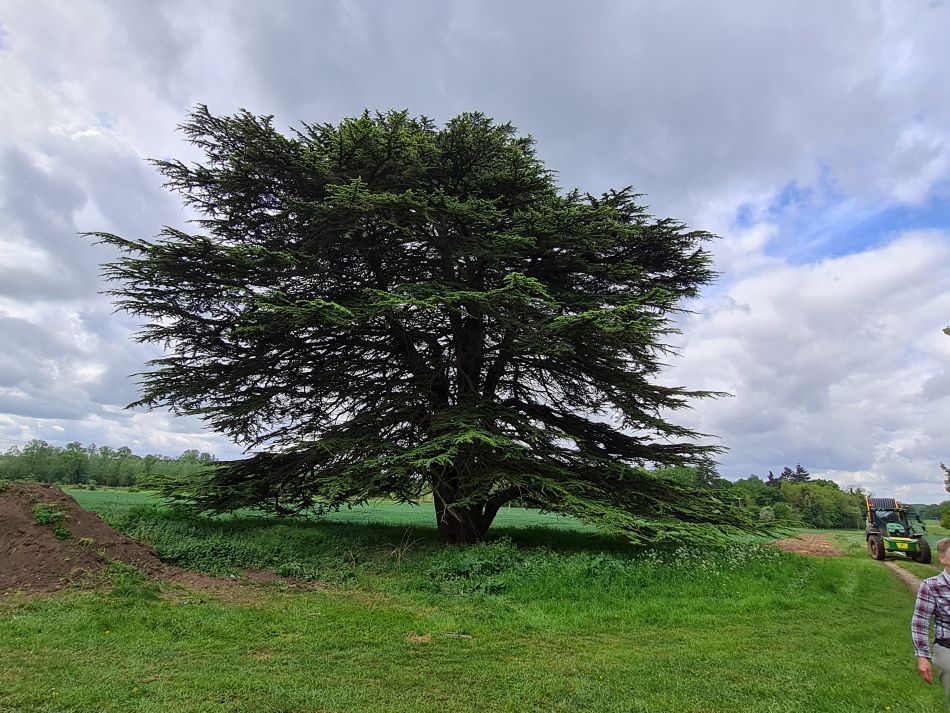 2022-05-12 03 Angles Way 6 - Knettishall.jpg