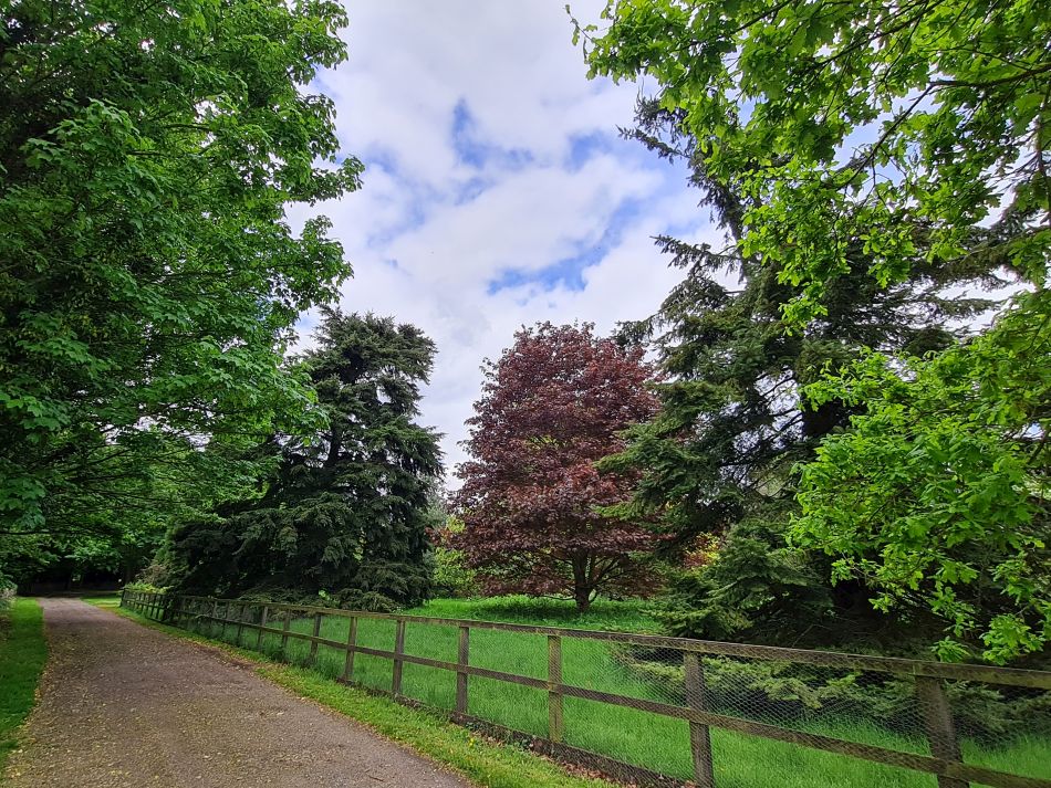 2022-05-12 04 Angles Way 6 - Knettishall.jpg