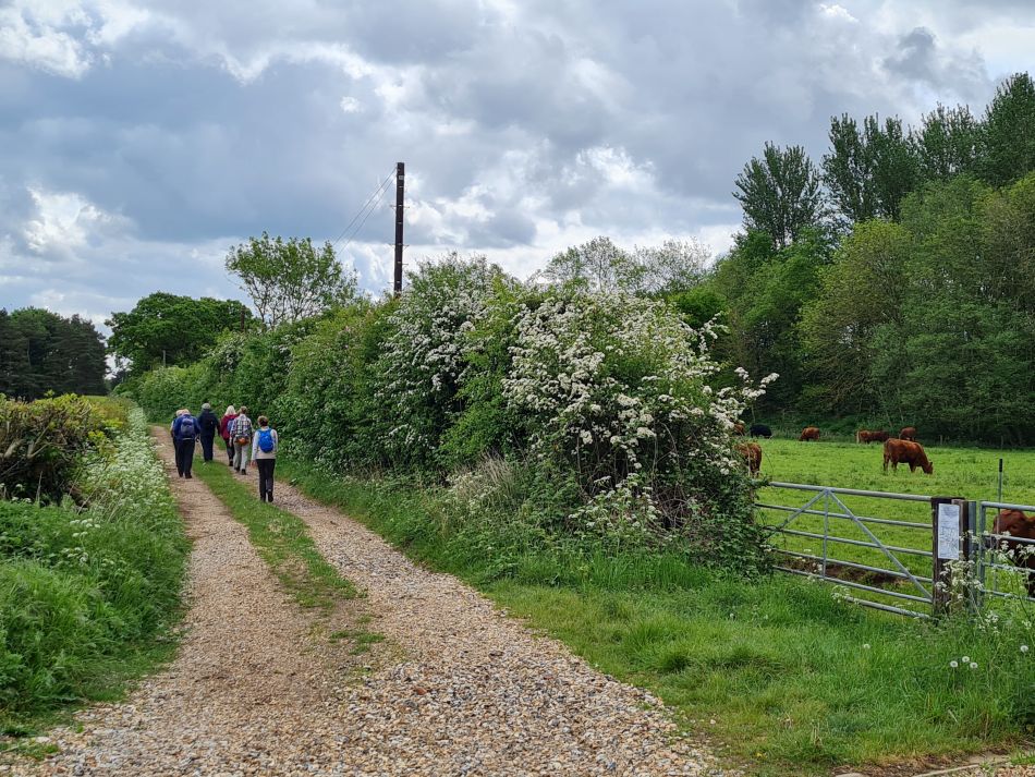 2022-05-12 09 Angles Way 6 - Knettishall.jpg