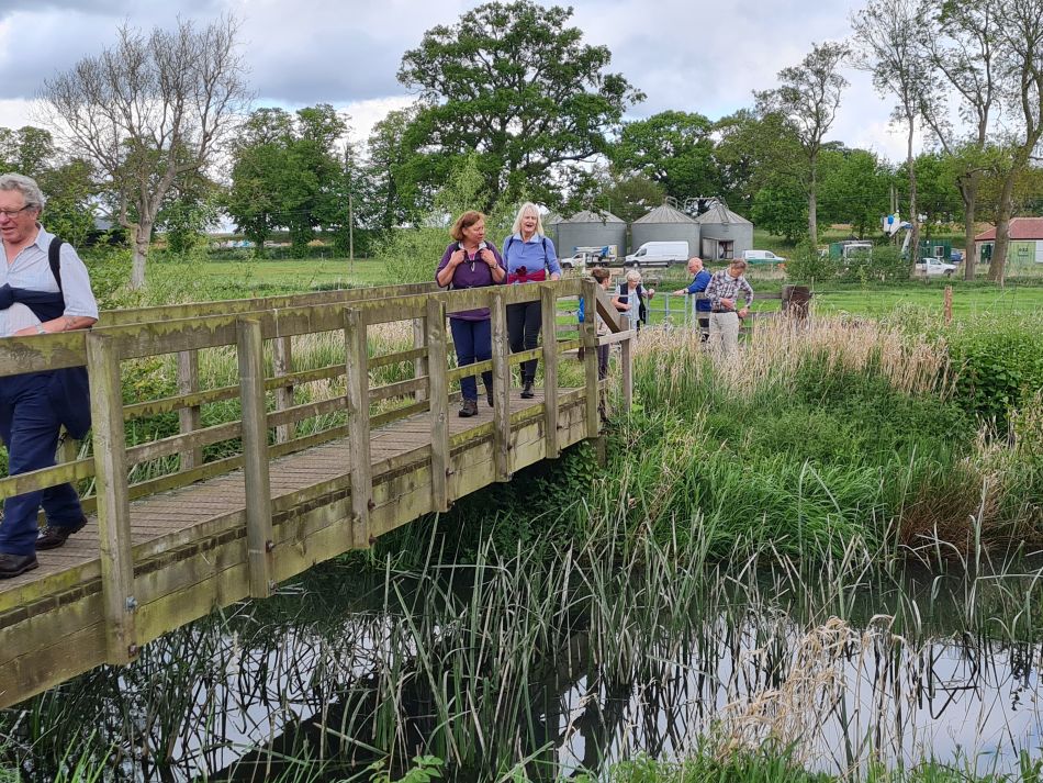 2022-05-12 10 Angles Way 6 - Knettishall.jpg