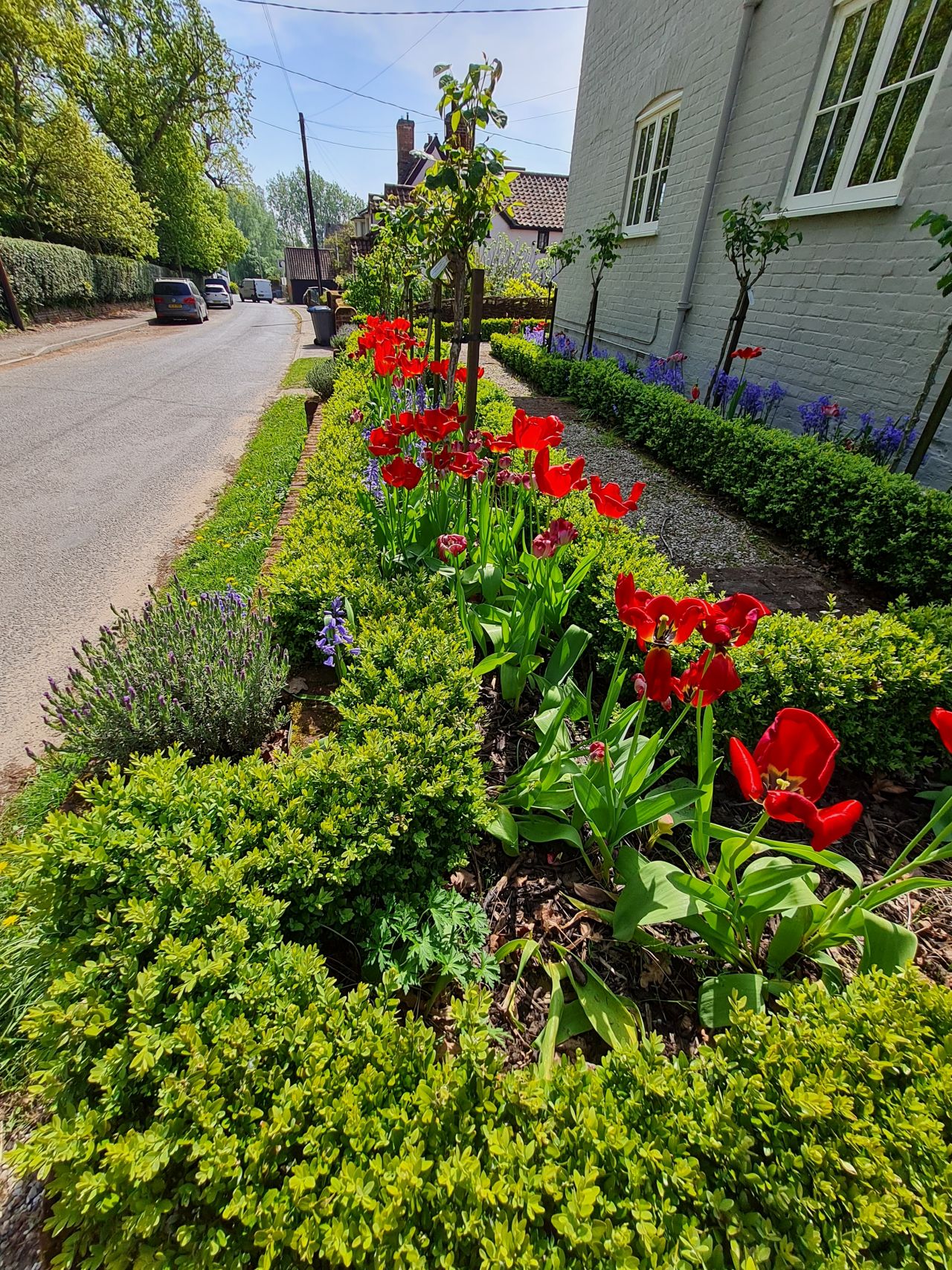 2025-05-01 21 Woodbridge to Wickham Market.jpg
