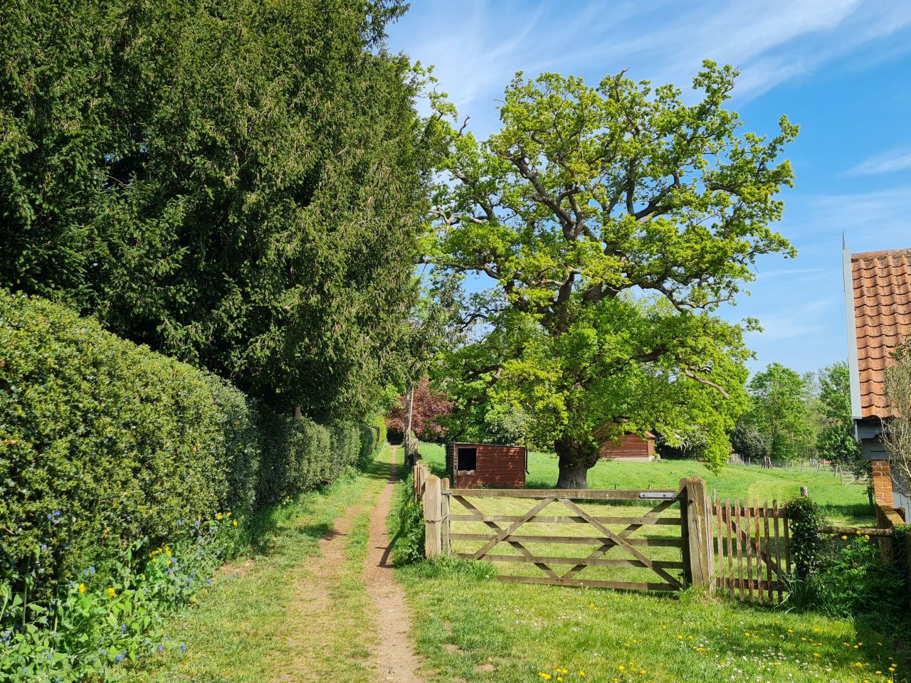 2025-05-01 23 Woodbridge to Wickham Market.jpg