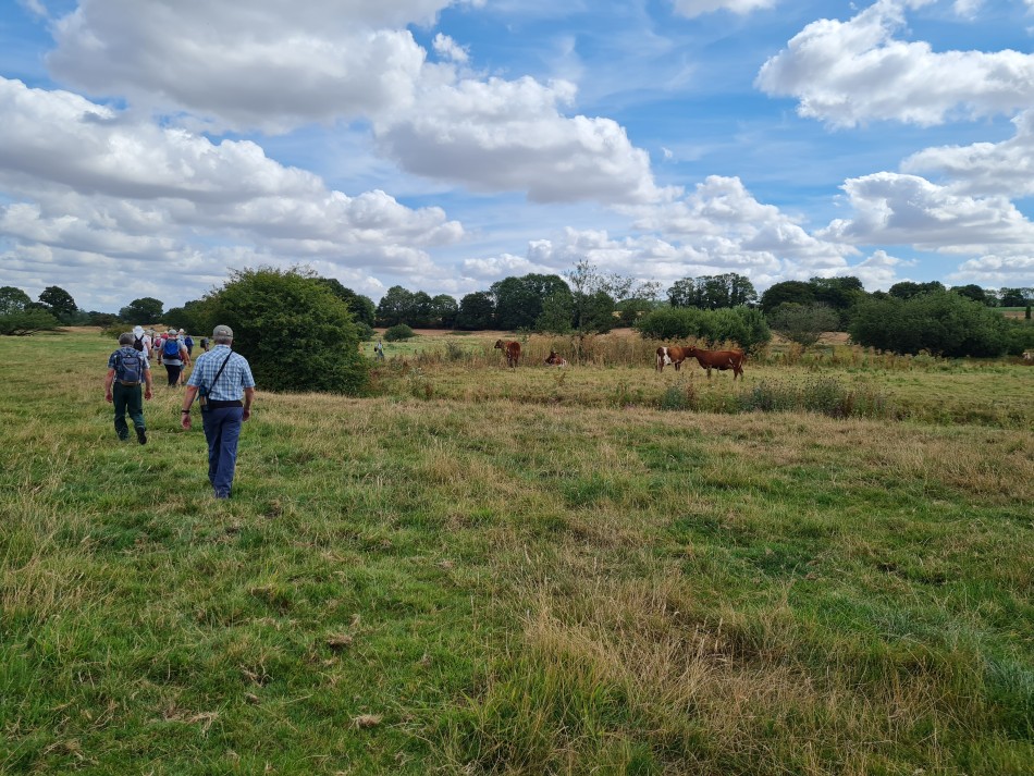 2022-08-04 08 Wensum at Forncett.jpg