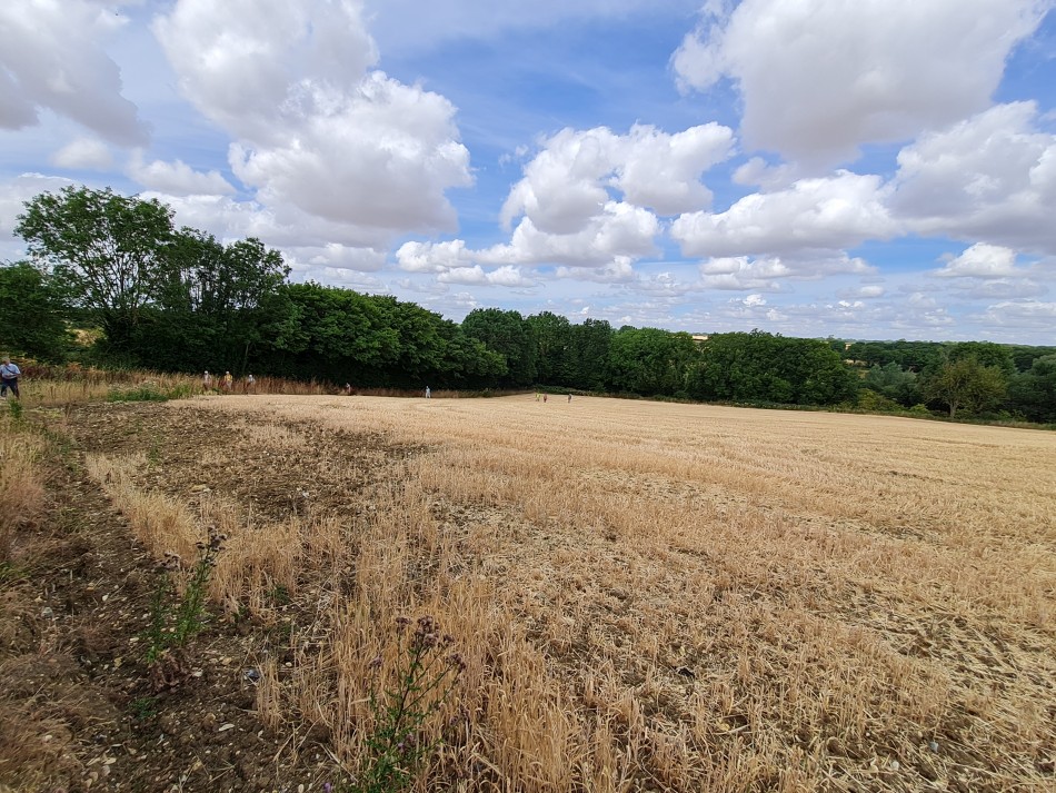 2022-08-04 10 Wensum at Forncett.jpg