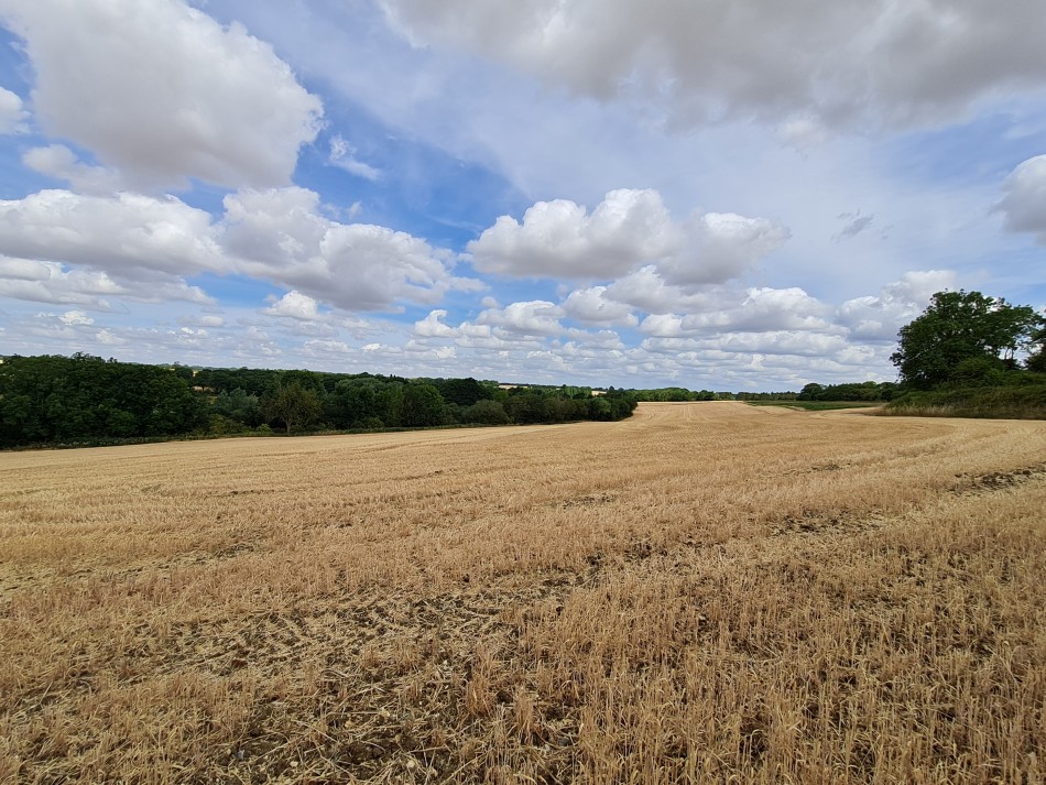 2022-08-04 11 Wensum at Forncett.jpg