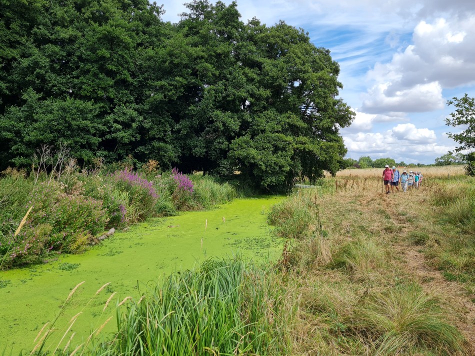 2022-08-04 13 Wensum at Forncett.jpg