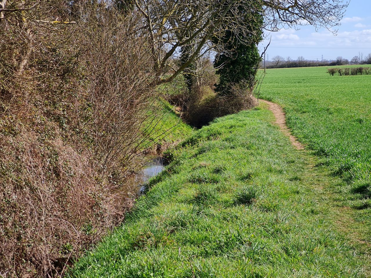 2025-03-29 05 Forncett End and Wacton.jpg