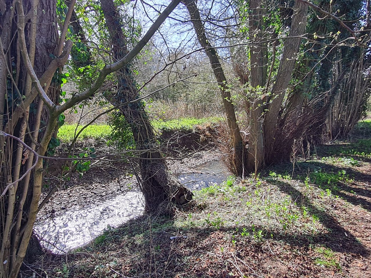 2025-03-29 06 Forncett End and Wacton.jpg