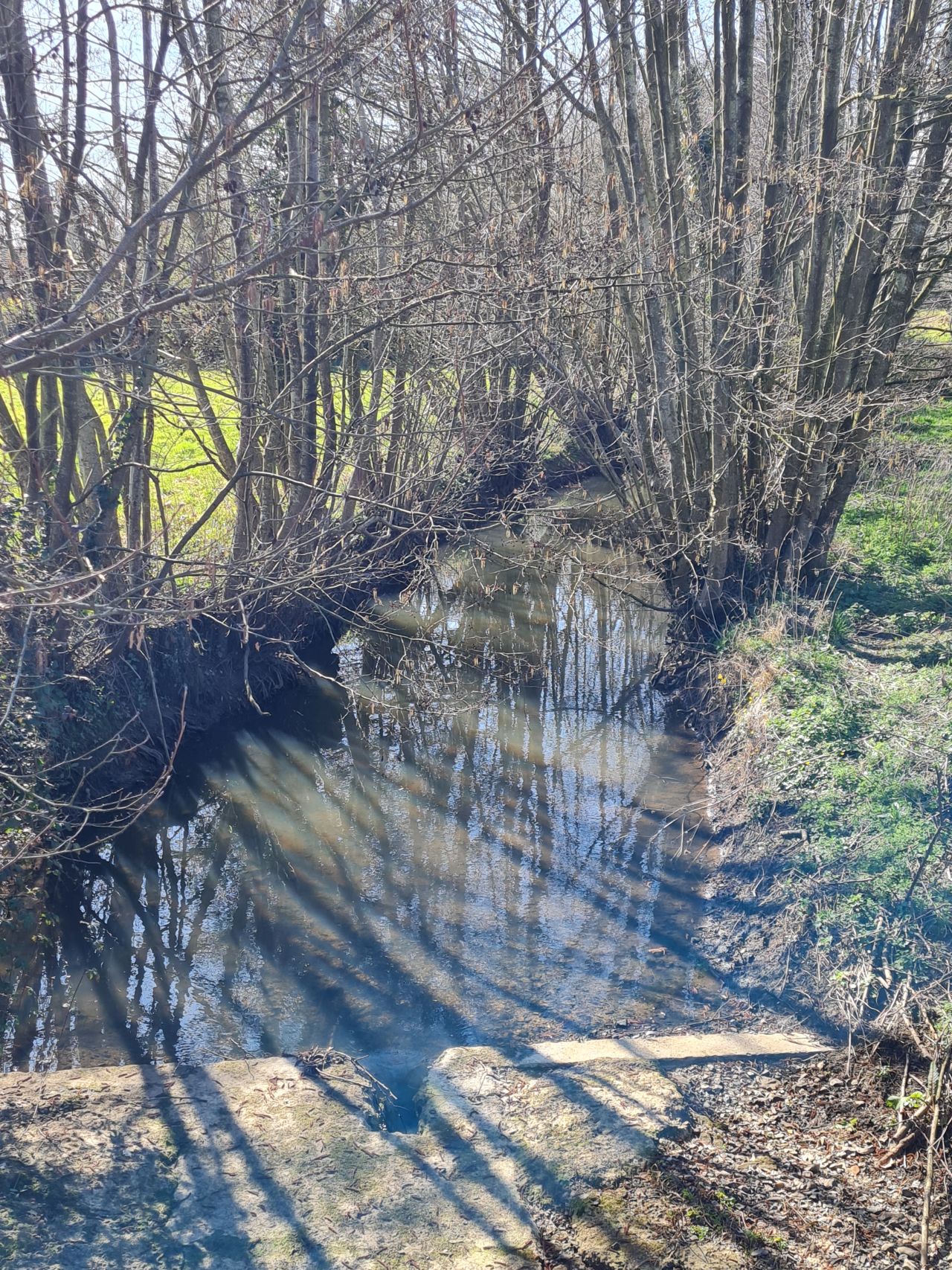 2025-03-29 08 Forncett End and Wacton.jpg