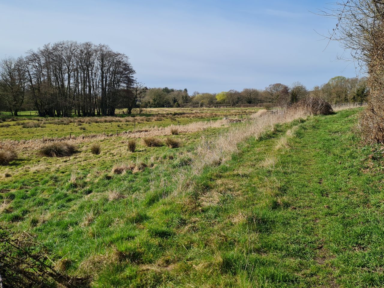 2025-03-29 16 Forncett End and Wacton.jpg