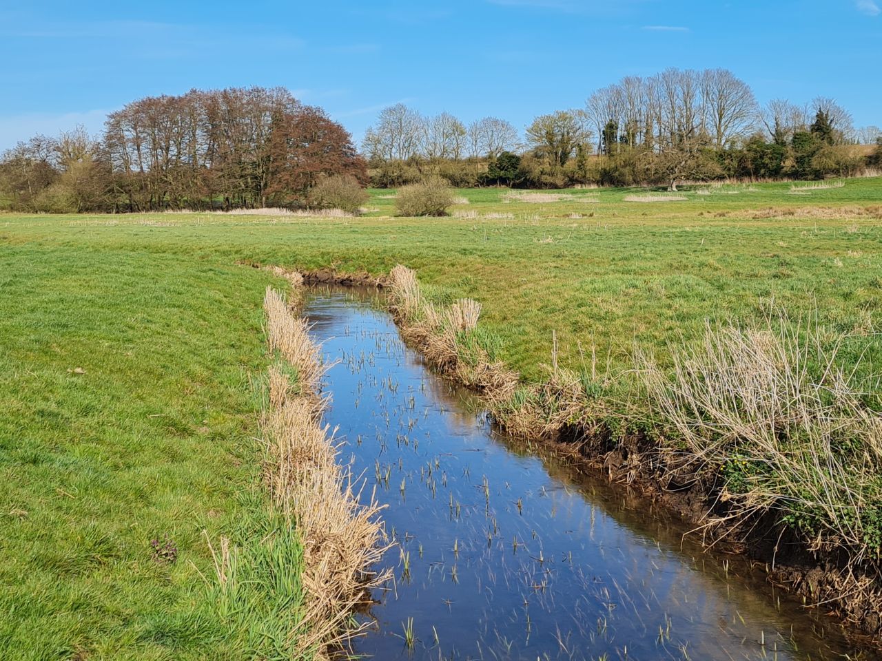 2025-03-29 19 Forncett End and Wacton.jpg