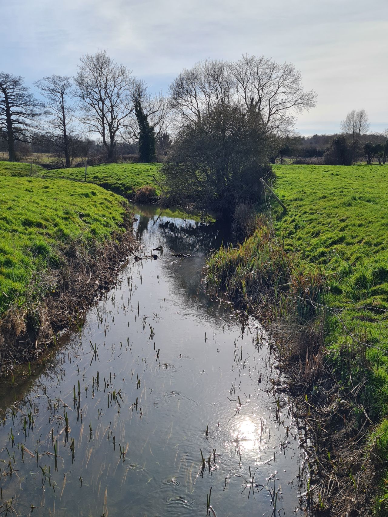 2025-03-29 20 Forncett End and Wacton.jpg