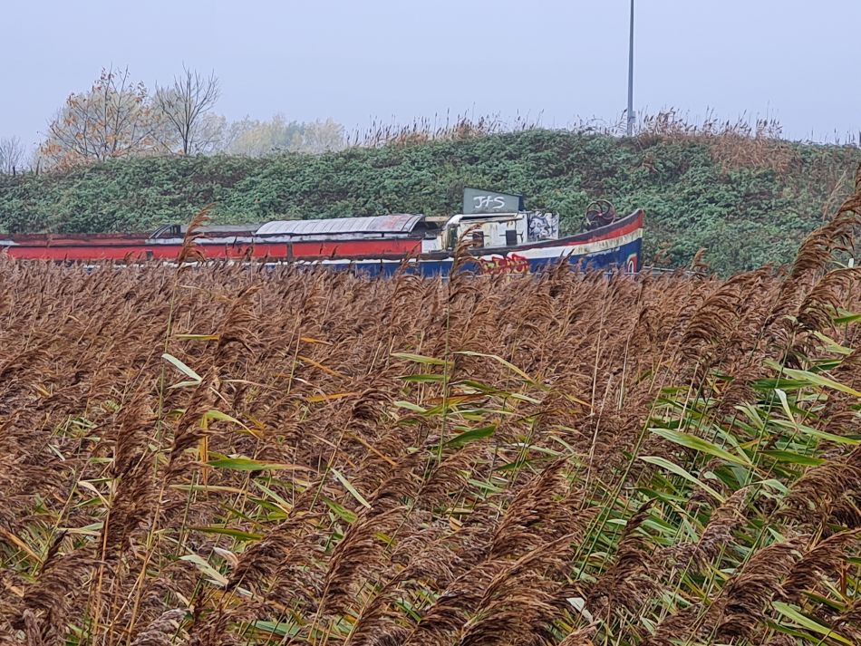 2022-11-13 17 Great Ouse and Nar.jpg