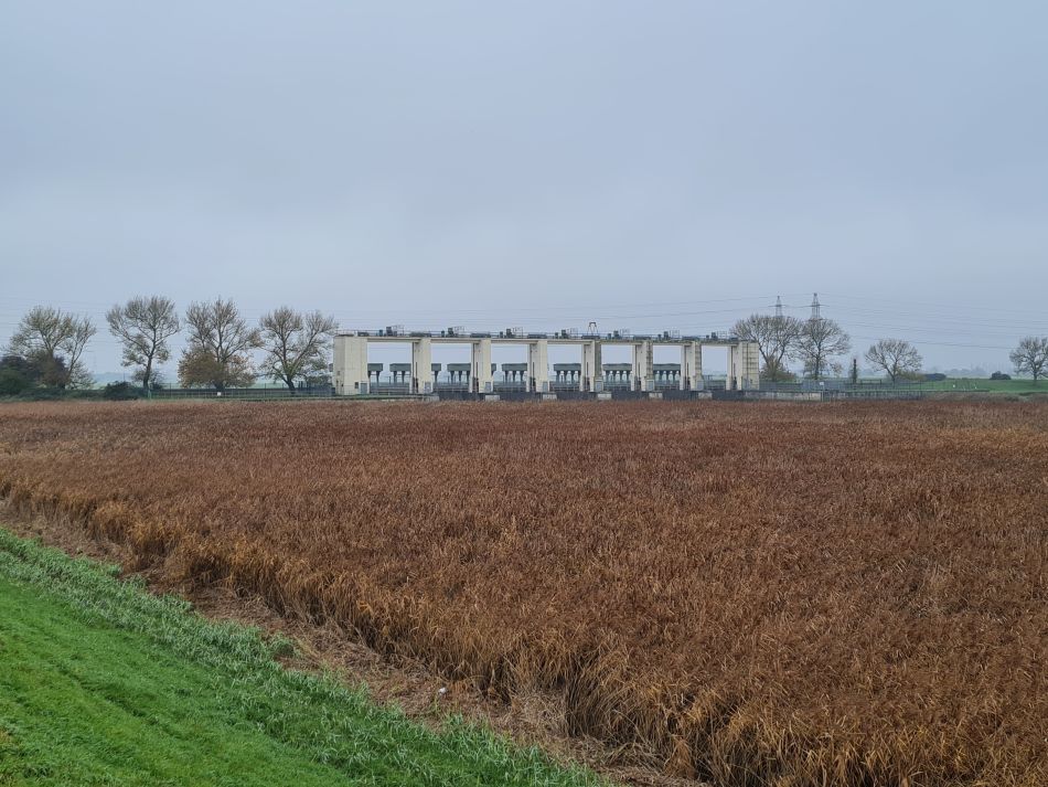 2022-11-13 26 Great Ouse and Nar.jpg