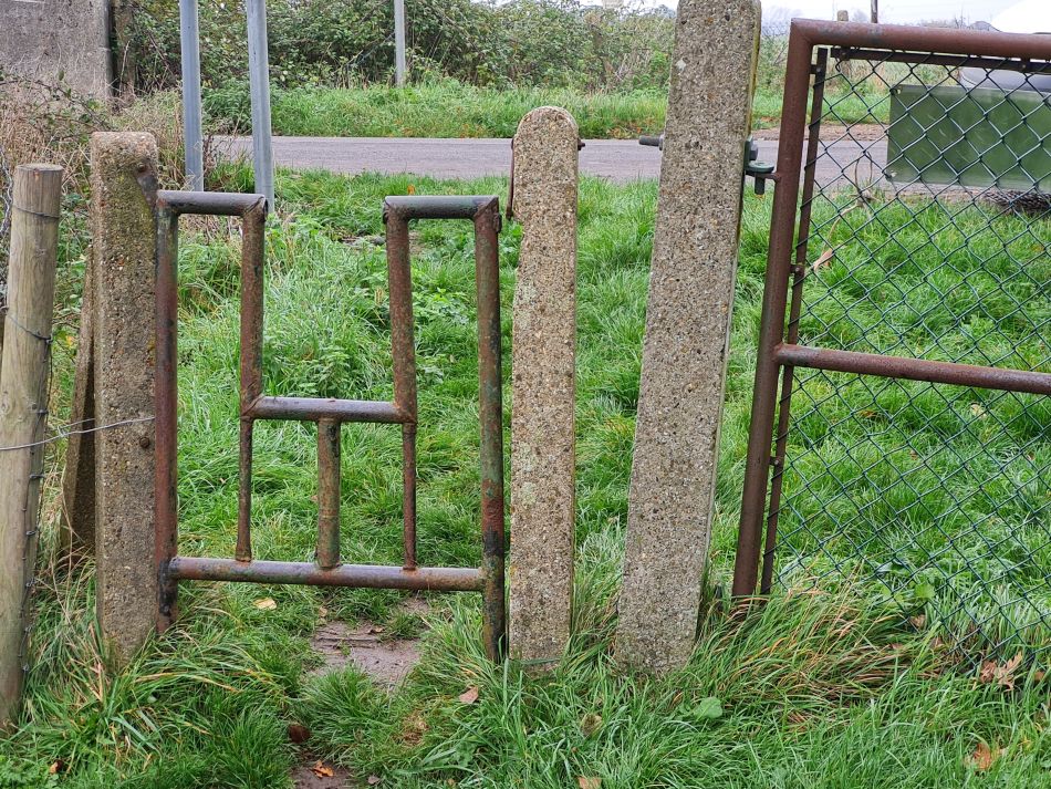 2022-11-13 39 Great Ouse and Nar.jpg