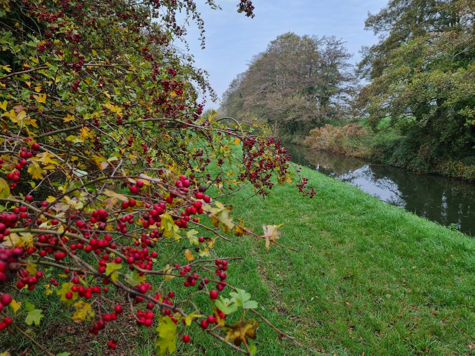 2022-11-13 42 Great Ouse and Nar.jpg