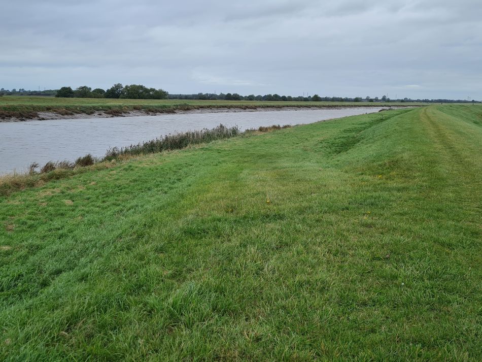 2023-09-24 14 Kings Lynn Nar Little and Great Ouse.jpg