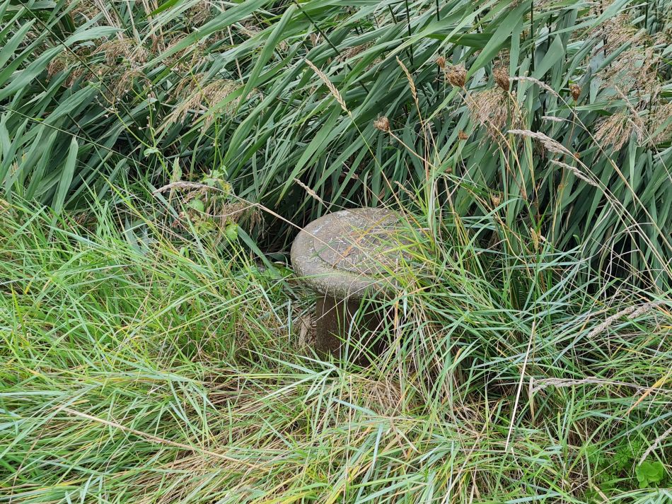 2023-09-24 38 Kings Lynn Nar Little and Great Ouse.jpg