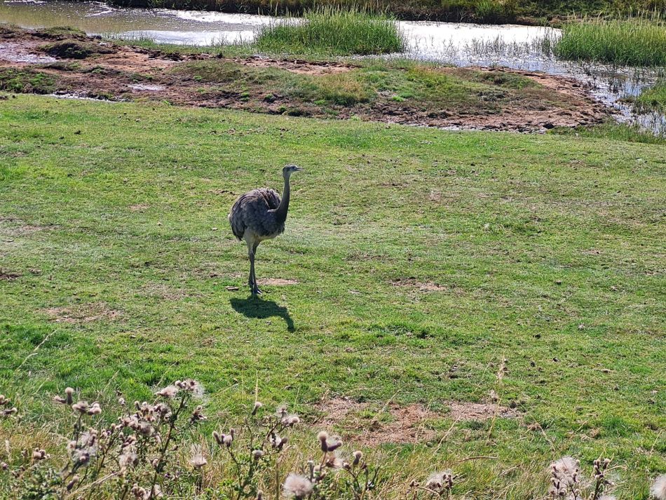 2020-10-06 01 Sudbourne.jpg