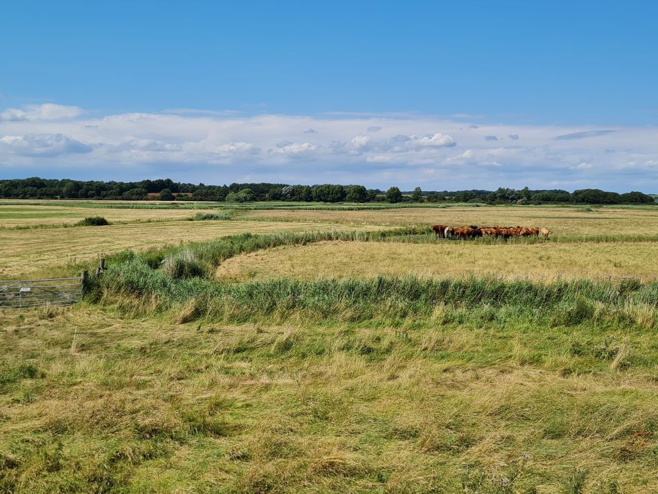 2020-10-06 05 Sudbourne.jpg