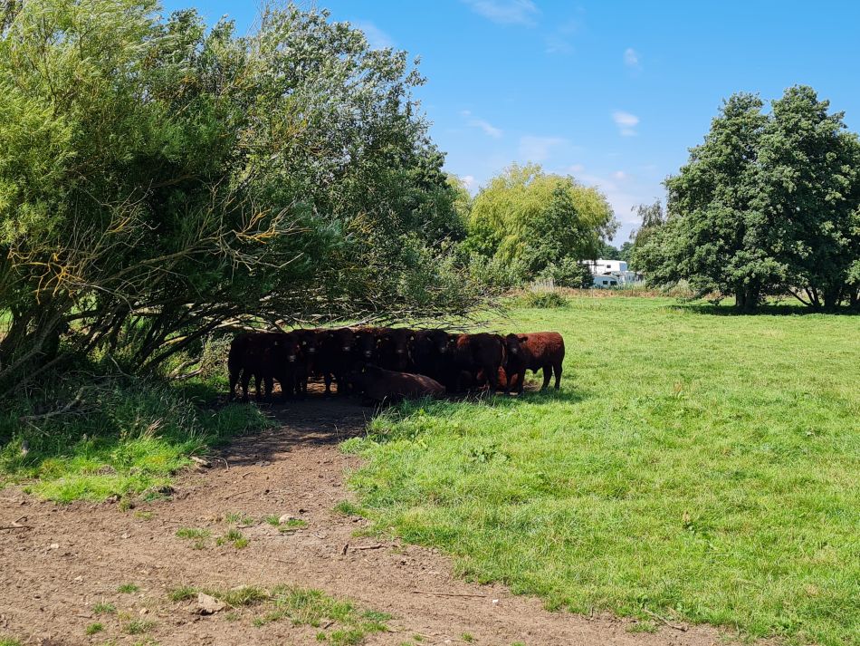2020-10-06 09 Sudbourne and Iken.jpg