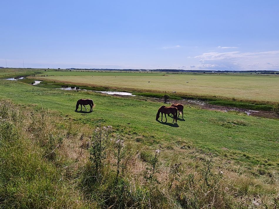 2020-10-06 10 Sudbourne.jpg