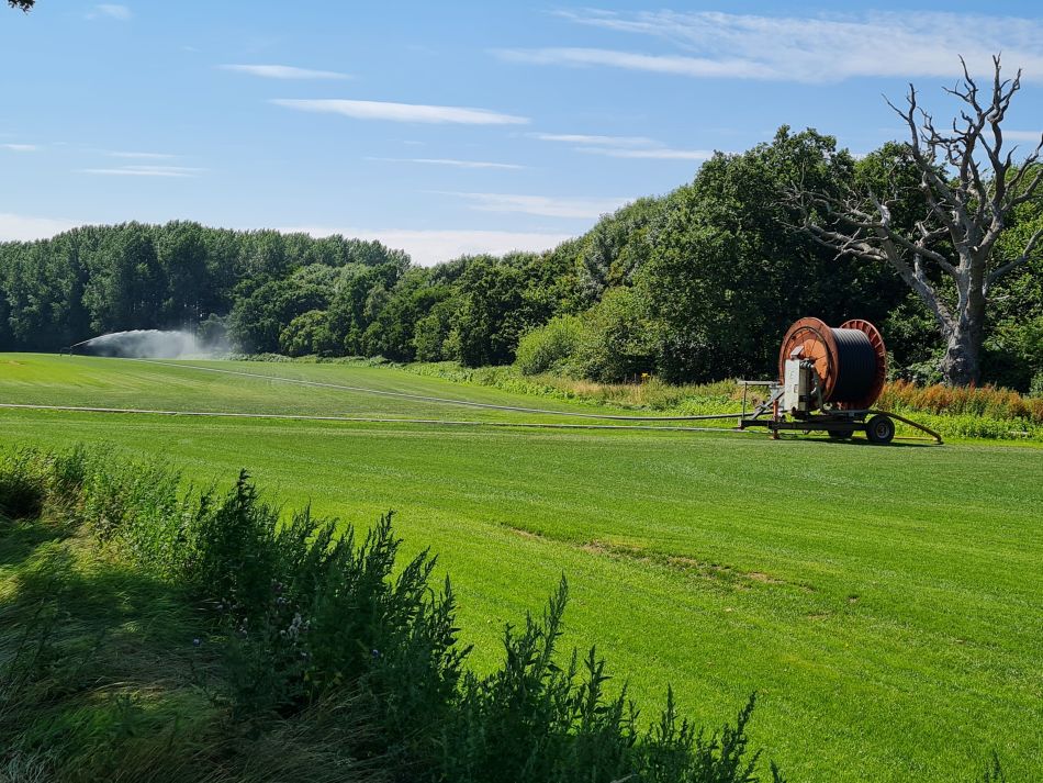 2020-10-06 10 Sudbourne and Iken.jpg