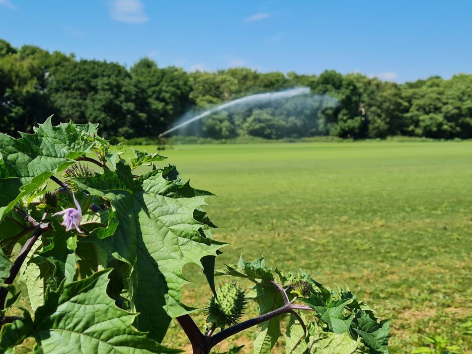 2020-10-06 11 Sudbourne and Iken.jpg