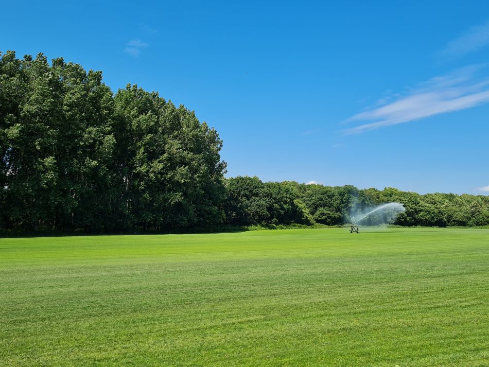 2020-10-06 12 Sudbourne and Iken.jpg