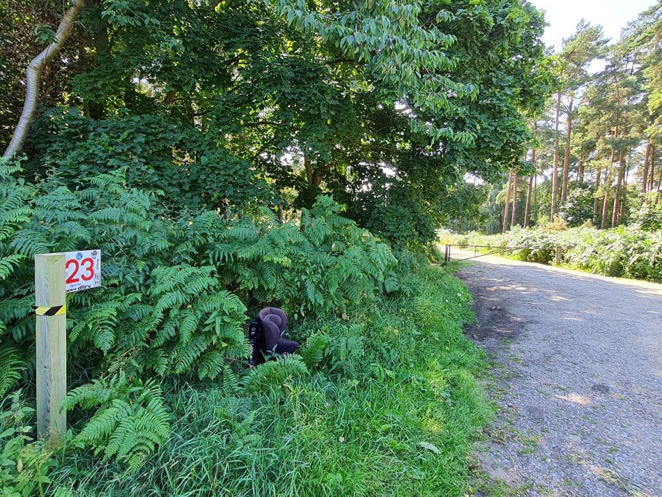 2020-10-06 13 Sudbourne and Iken.jpg