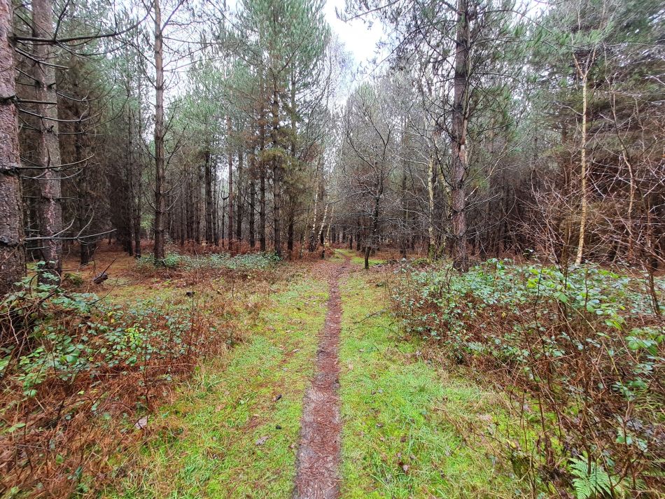 2020-12-28 03 Sudbourne and Chillesford.jpg