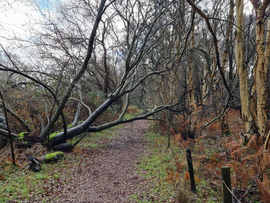 2020-12-28 04 Sudbourne and Chillesford.jpg