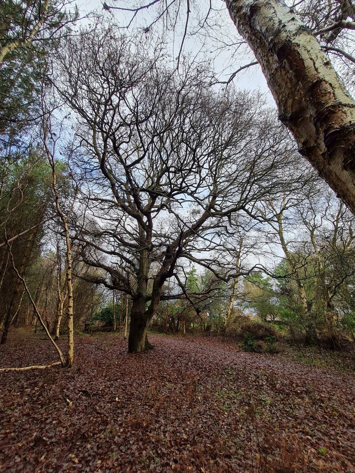 2020-12-28 07 Sudbourne and Chillesford.jpg