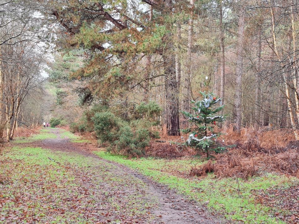 2020-12-28 08 Sudbourne and Chillesford.jpg