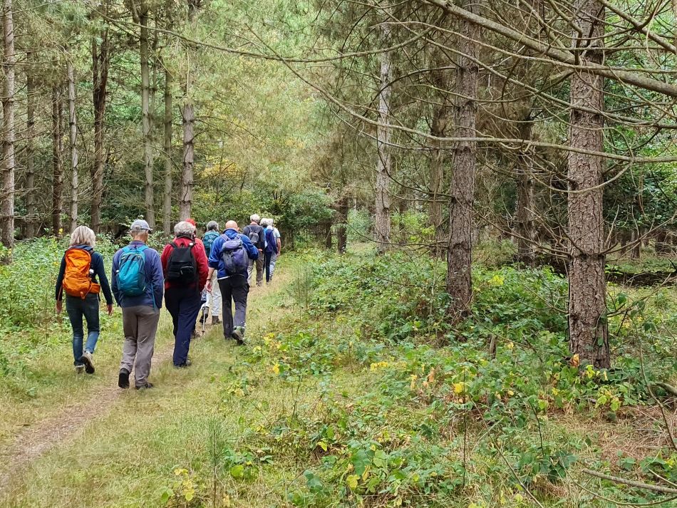 2021-09-02 02 Sudbourne.jpg