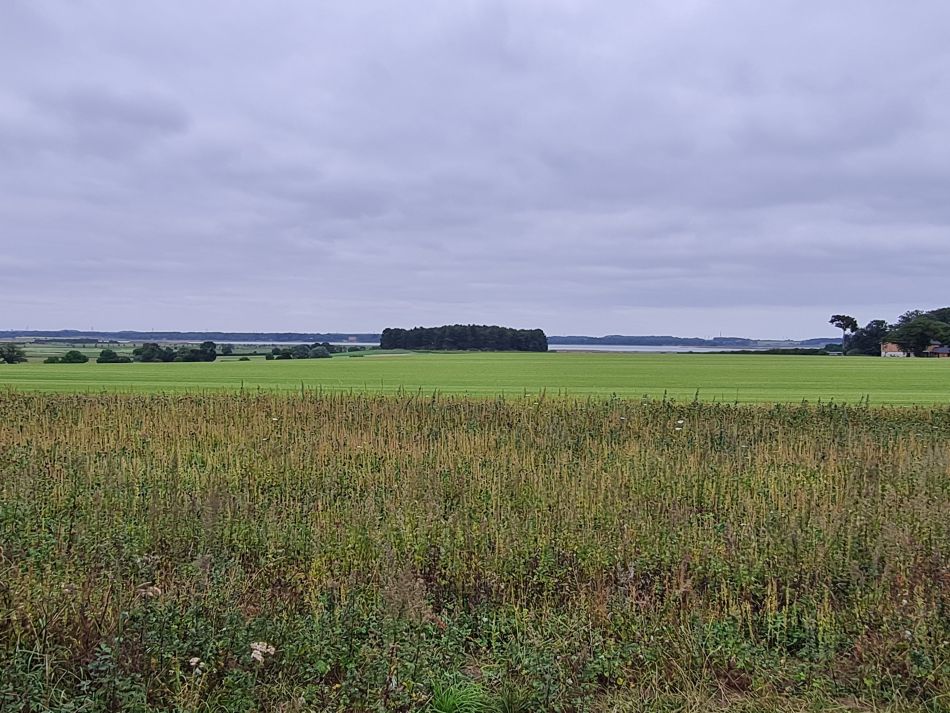 2021-09-02 05 Sudbourne.jpg